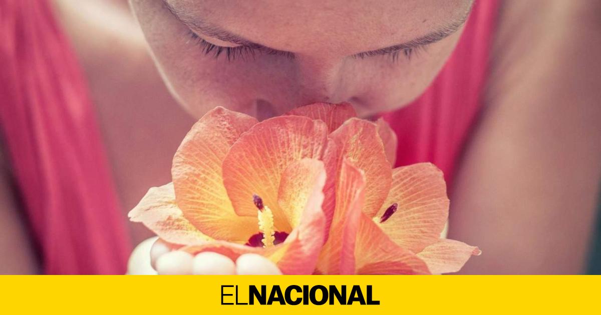 Smells and their effect on our mood