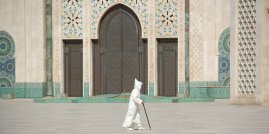 El MARROC: llibres imprescindibles
