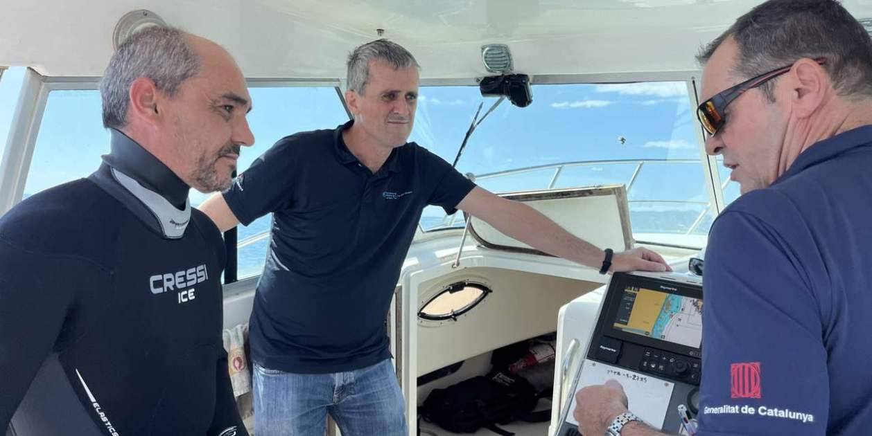 photo 6005704103902167163 y