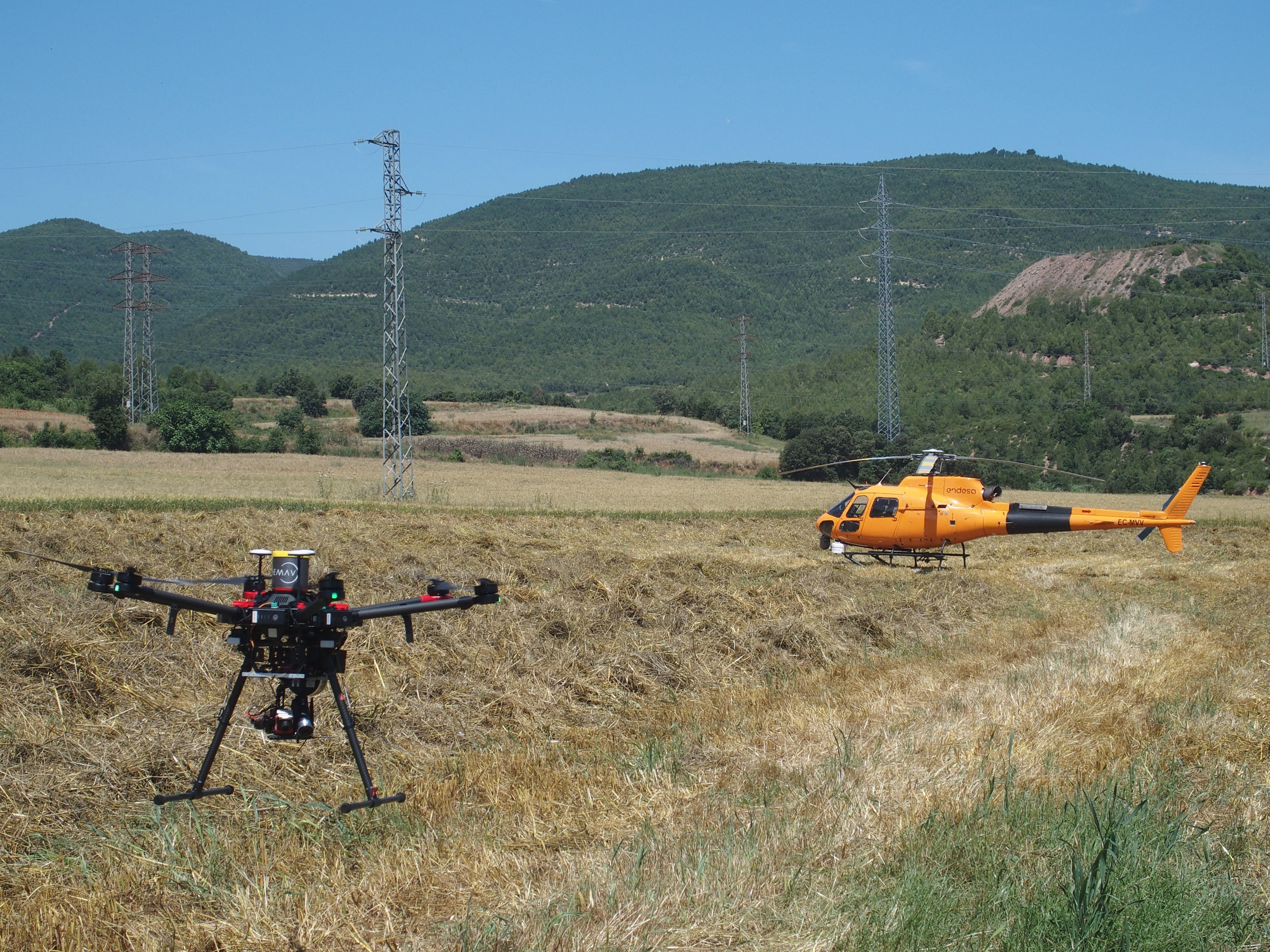 Endesa destina 24 milions al pla d'estiu de neteja i protecció de boscos a Catalunya