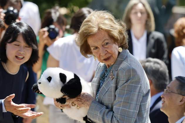Sofía panda GTRES Sofía panda GTRES
