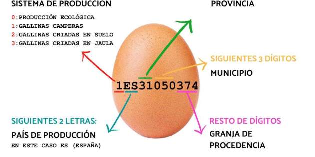 Como descifrar la numeración