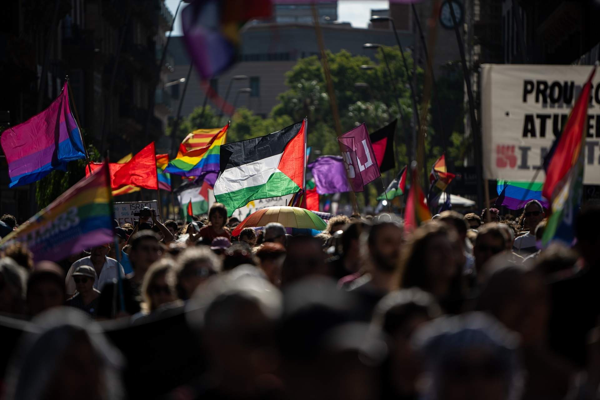 Barcelona (Cataluña)