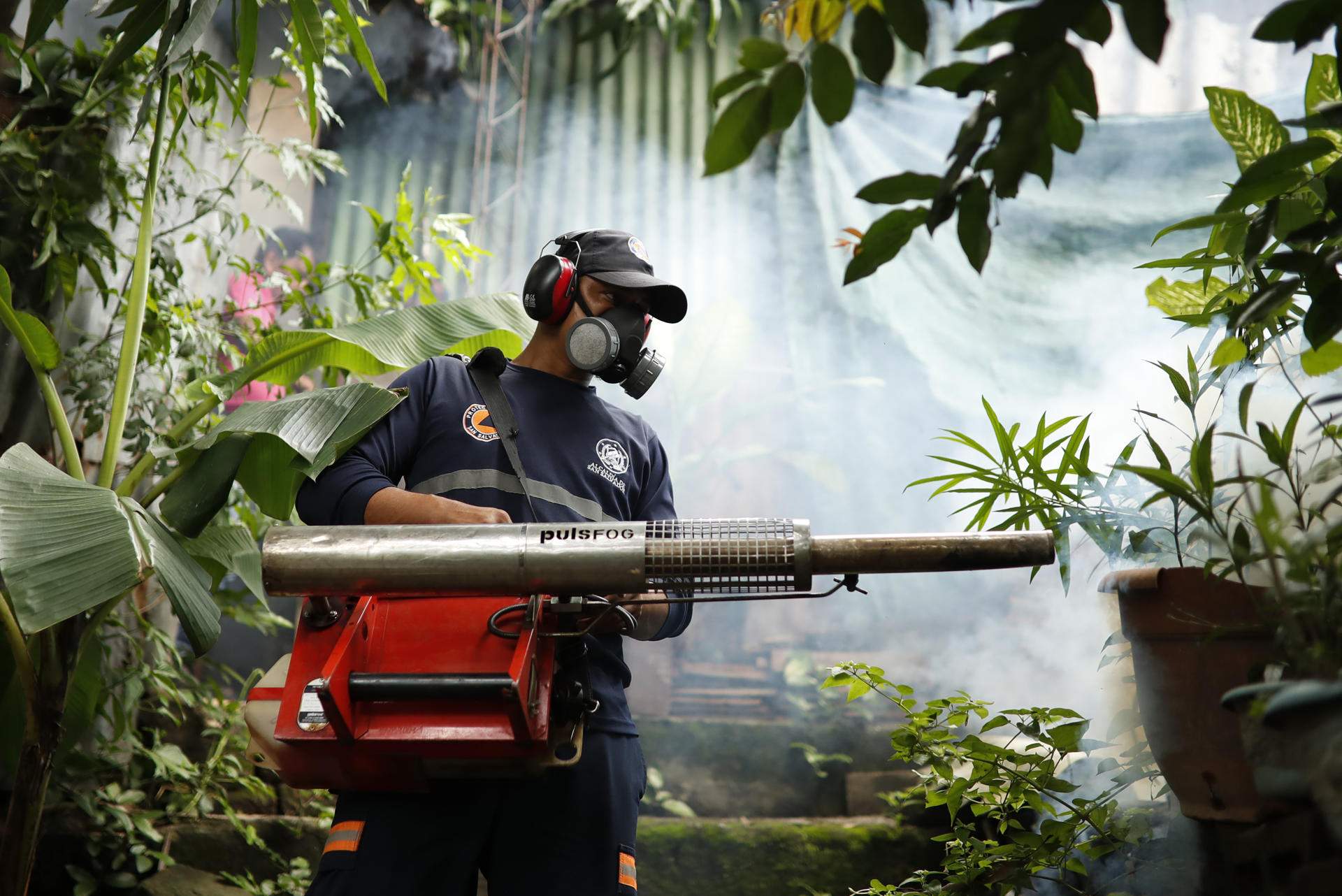 Sant Salvador (El Salvador)