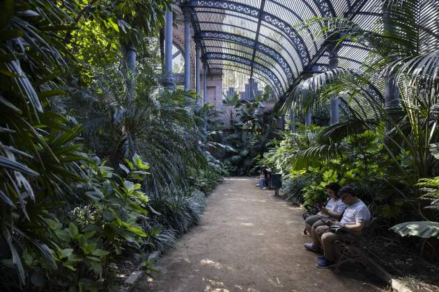 Umbracle de ciutadella / Foto: Carlos Baglietto