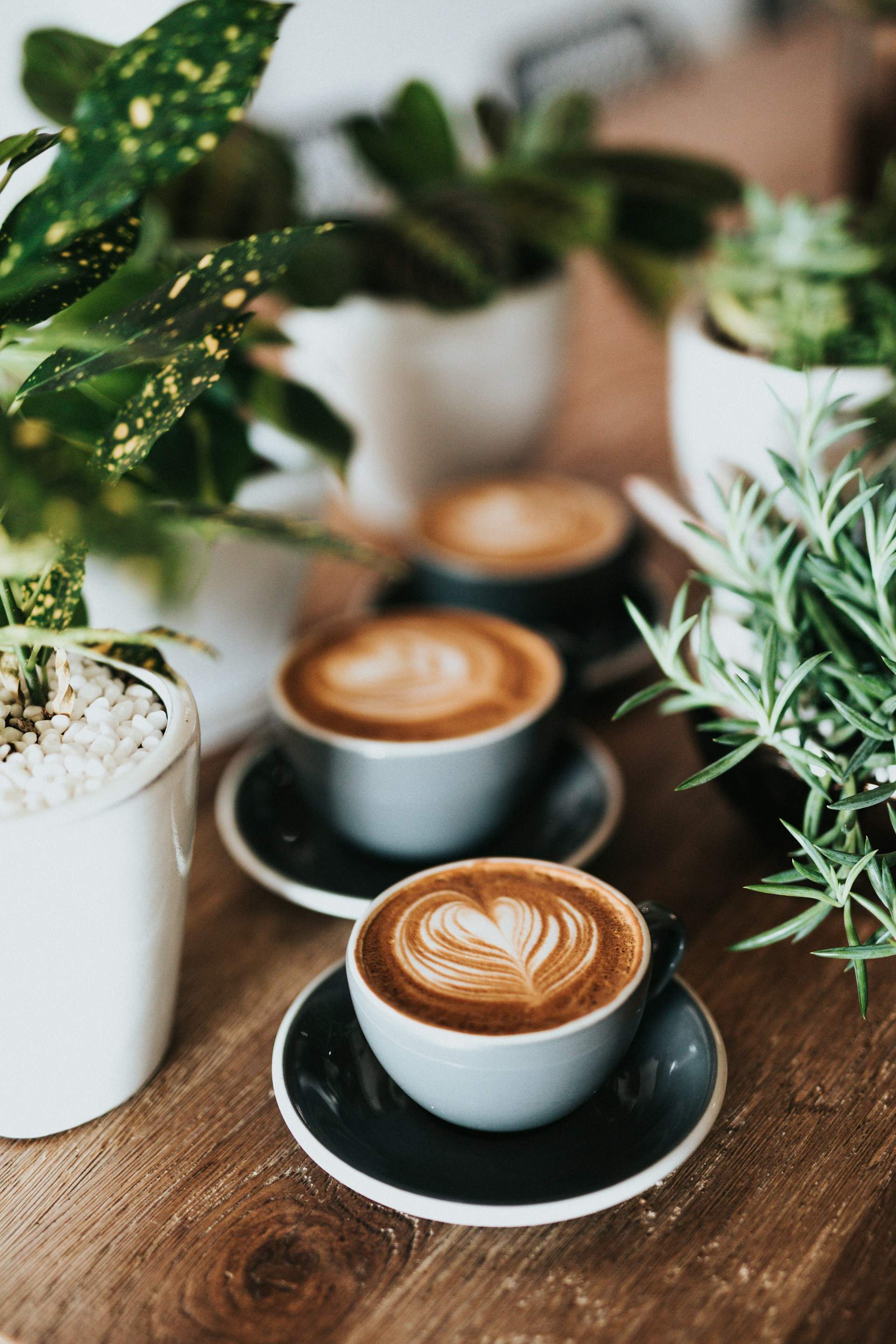 ¿Tomar café es bueno o malo para la salud?