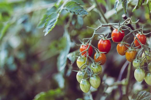 markus spiske nJtmd4ANdR4 unsplash markus spiske nJtmd4ANdR4 unsplash