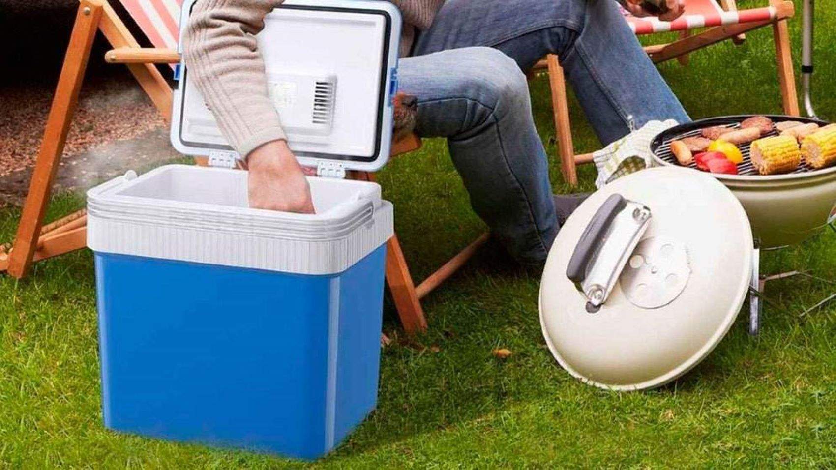 Esta es la mejor alternativa al hielo para enfriar los alimentos en verano si utilizas una nevera portátil