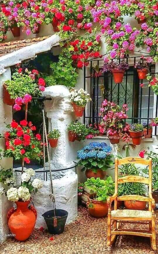 Patio cordobés. Font Pinterest Patio cordobés. Font Pinterest