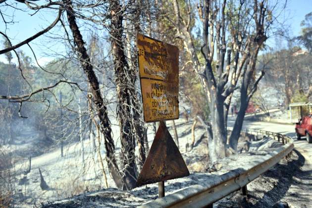 grecia incendio efe (2) grecia incendio efe (2)