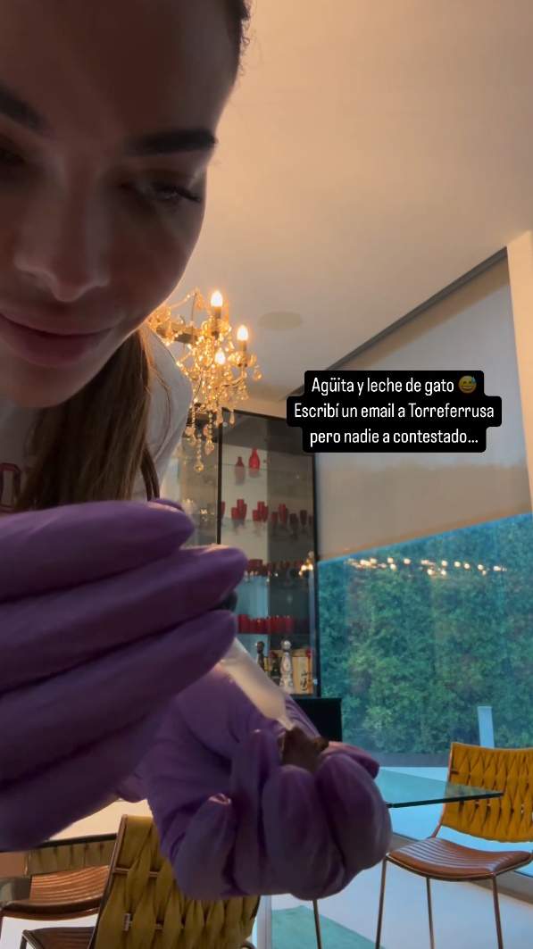 Joana Sanz y la rata penada, Instagram Joana Sanz y la rata penada, Instagram