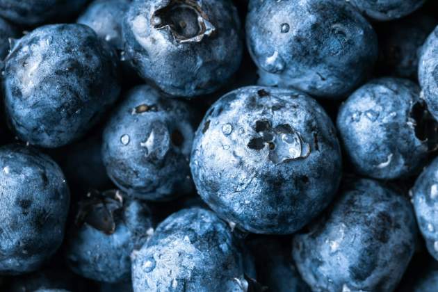 Los arándanos son de color azul / Foto: Unsplash Los arándanos son de color azul / Foto: Unsplash