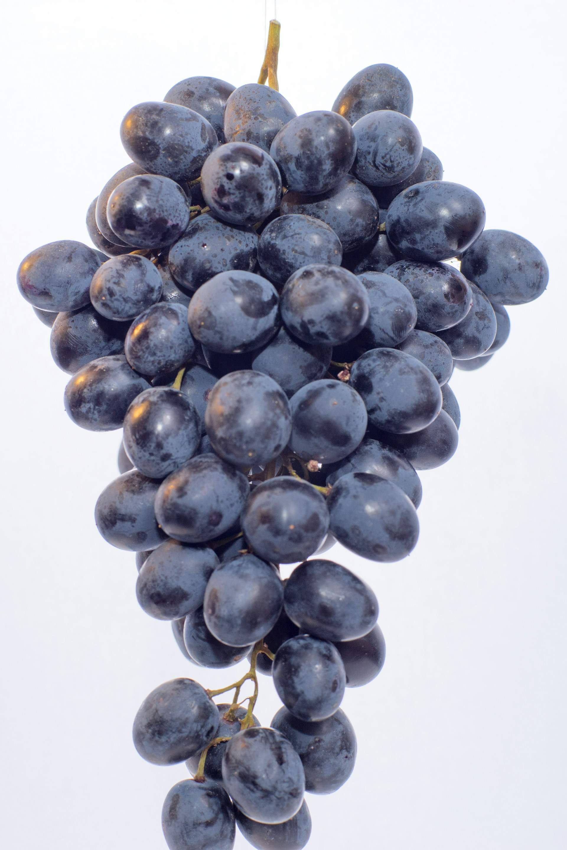 ¿Por qué hay tan pocos alimentos de color azul en la naturaleza?