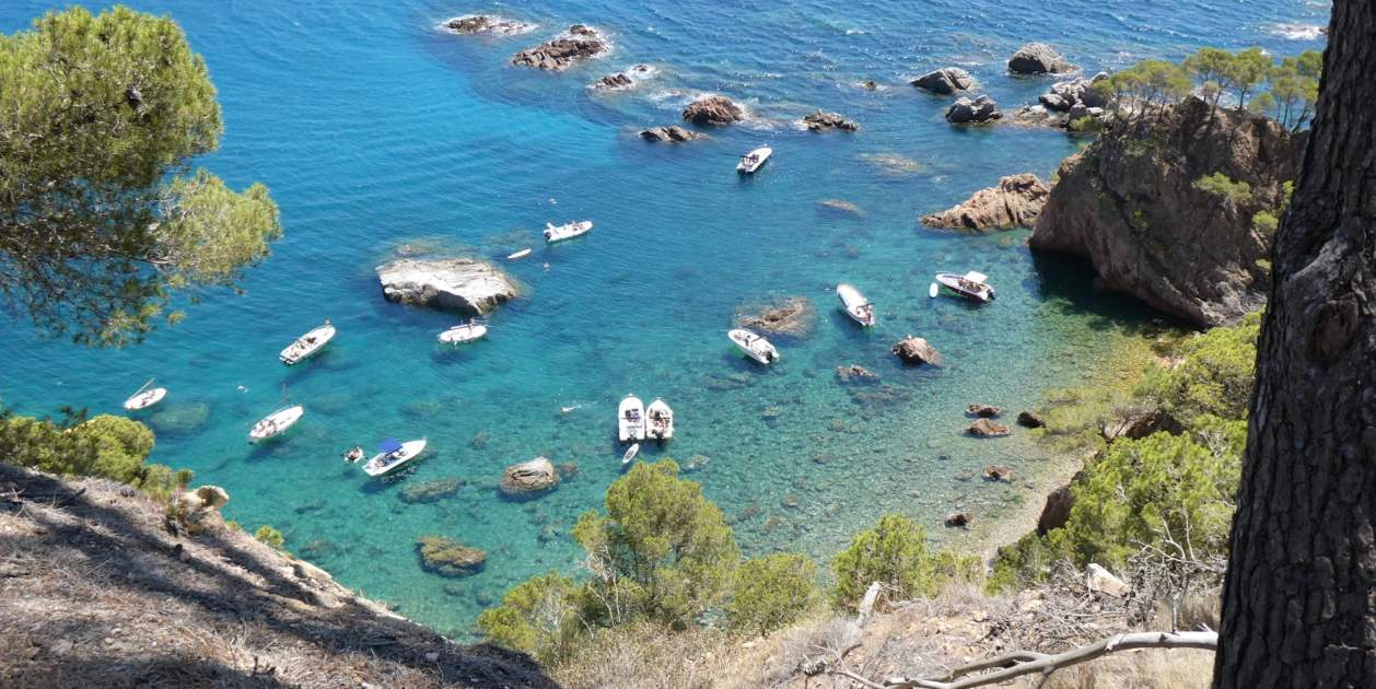 cala platja mar sos costa brava cala platja mar sos costa brava