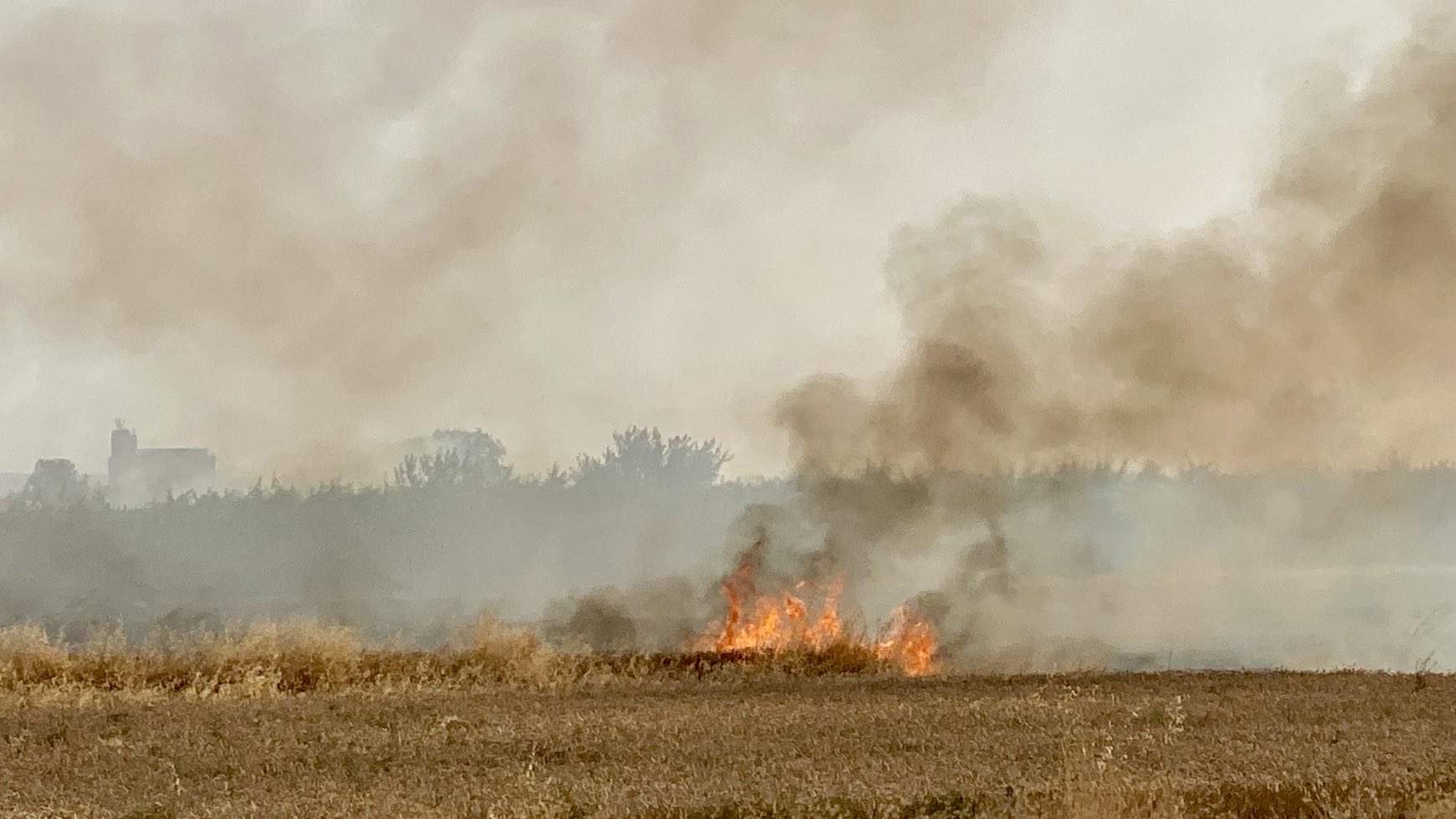 Les temperatures toquen sostre, avisos per calor i risc d'incendi