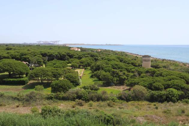 Finca de La Ricarda en el delta del Llobregat ACN Finca de La Ricarda en el delta del Llobregat ACN
