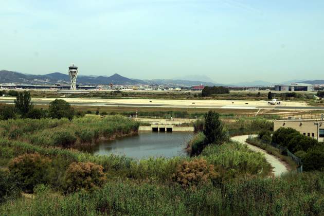 L'aeroport del Prat des del mirador de l'Illa al delta del Llobregat ACN L'aeroport del Prat des del mirador de l'Illa al delta del Llobregat ACN