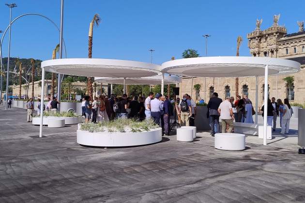 nou moll drassanes barcelona foto jordi palmer (7)