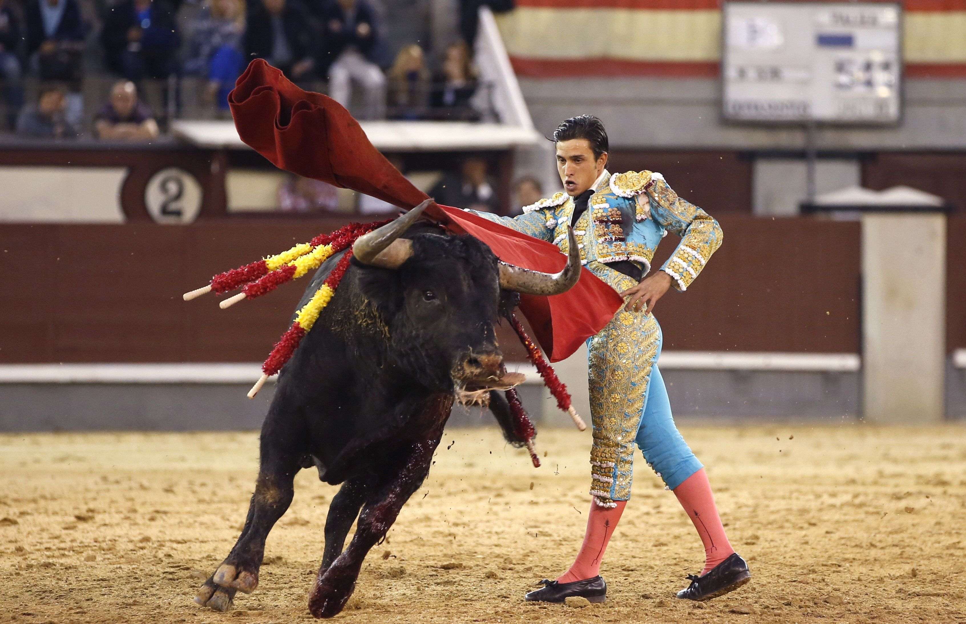 Una quarantena d'eurodiputats critiquen la decisió del TC sobre els toros