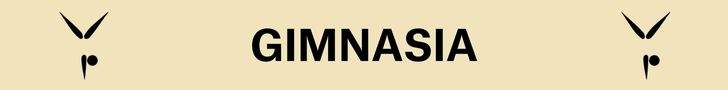 Tira Gimnasia directo Juegos Olímpicos París 2024 Tira Gimnasia directo Juegos Olímpicos París 2024