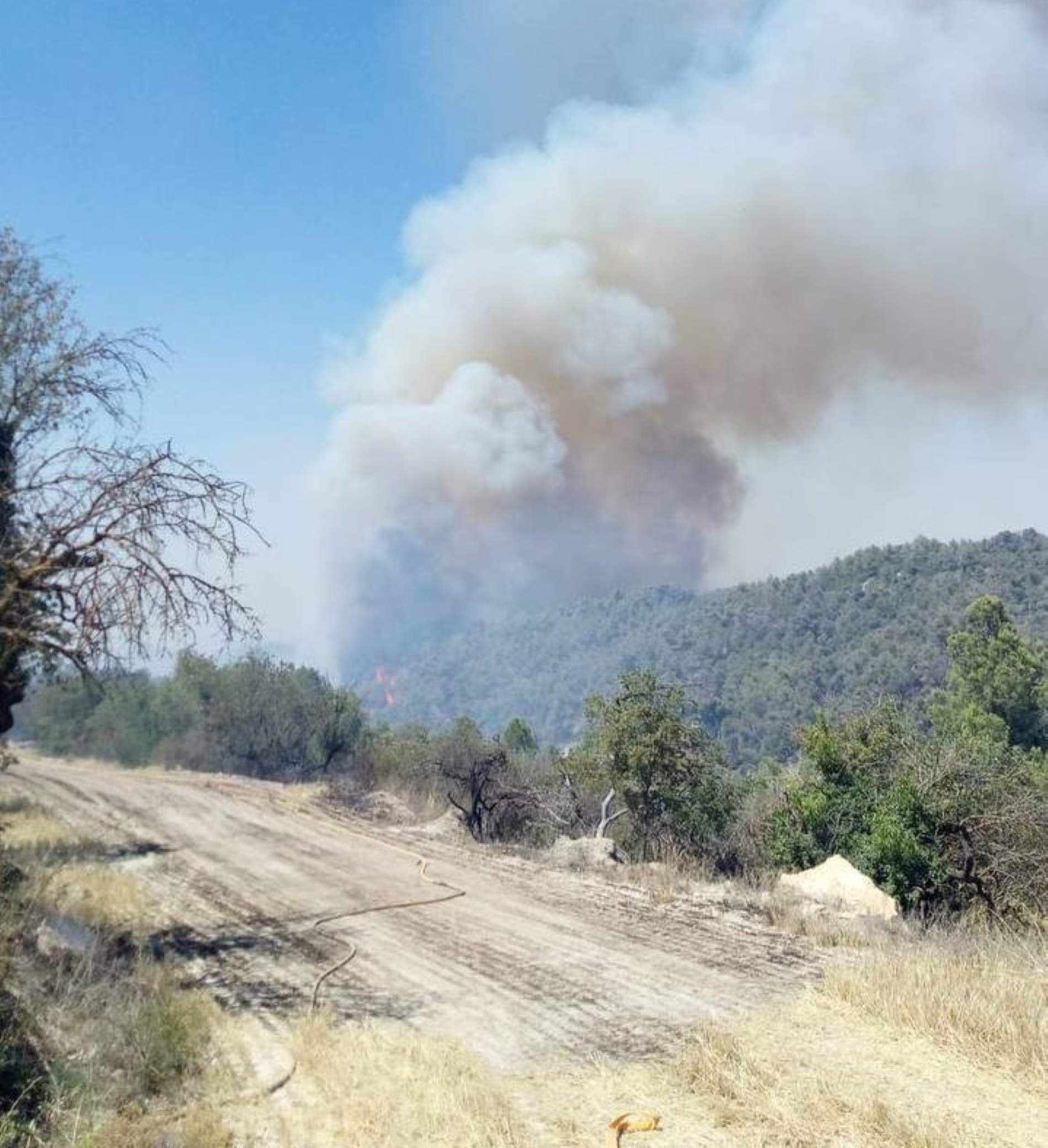Estabilitzat l'incendi a Ciutadilla que ha obligat a confinar dos pobles i n'ha cremat 200 hectàrees