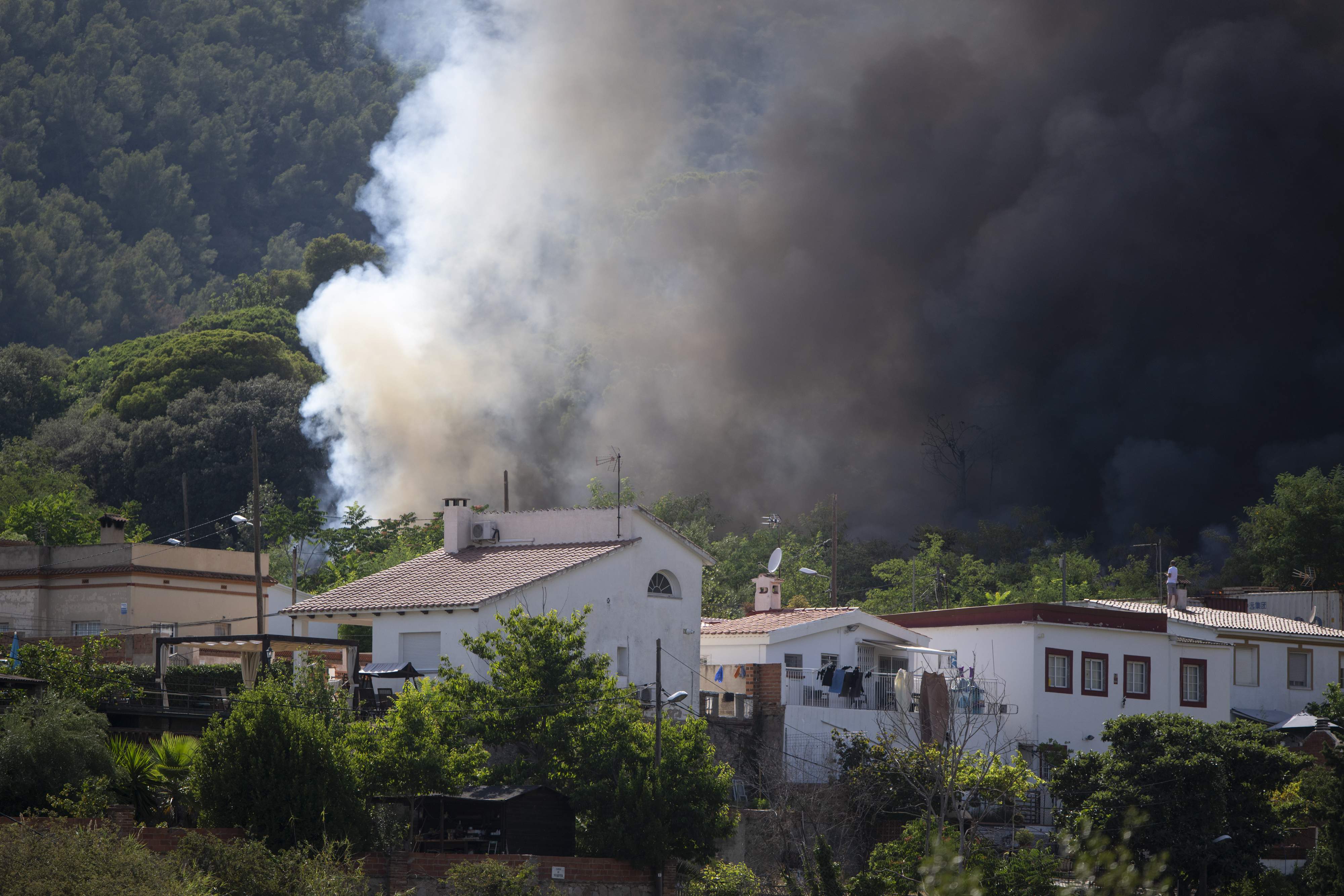 Un experto del CSIC defiende que haya incendios forestales: "No siempre son tan malos"