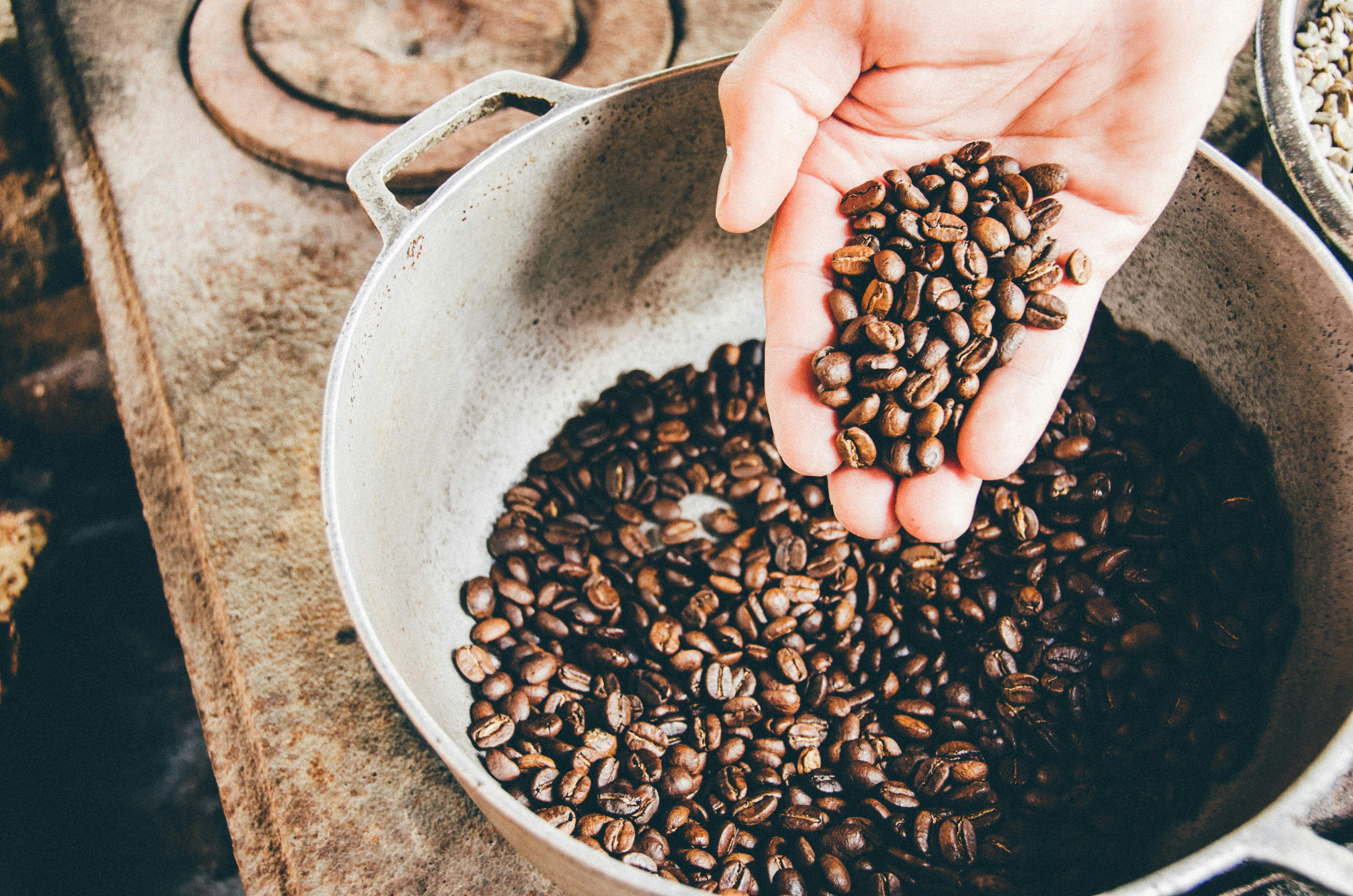 El cambio climático podría convertir el café en un bien de lujo