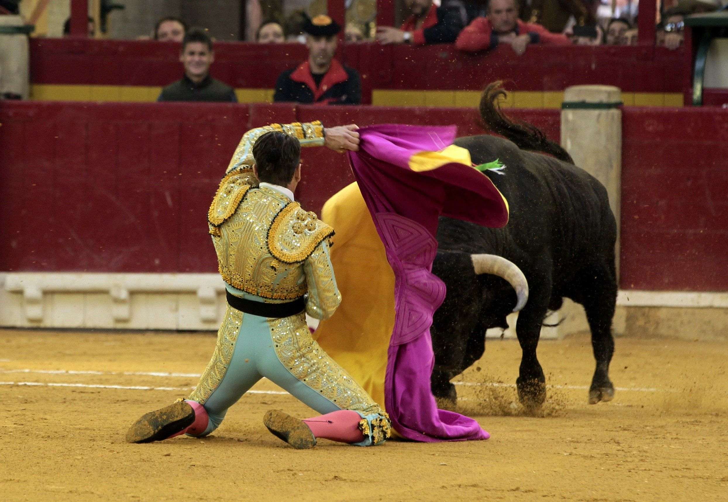 Cinco años sin toros en Catalunya