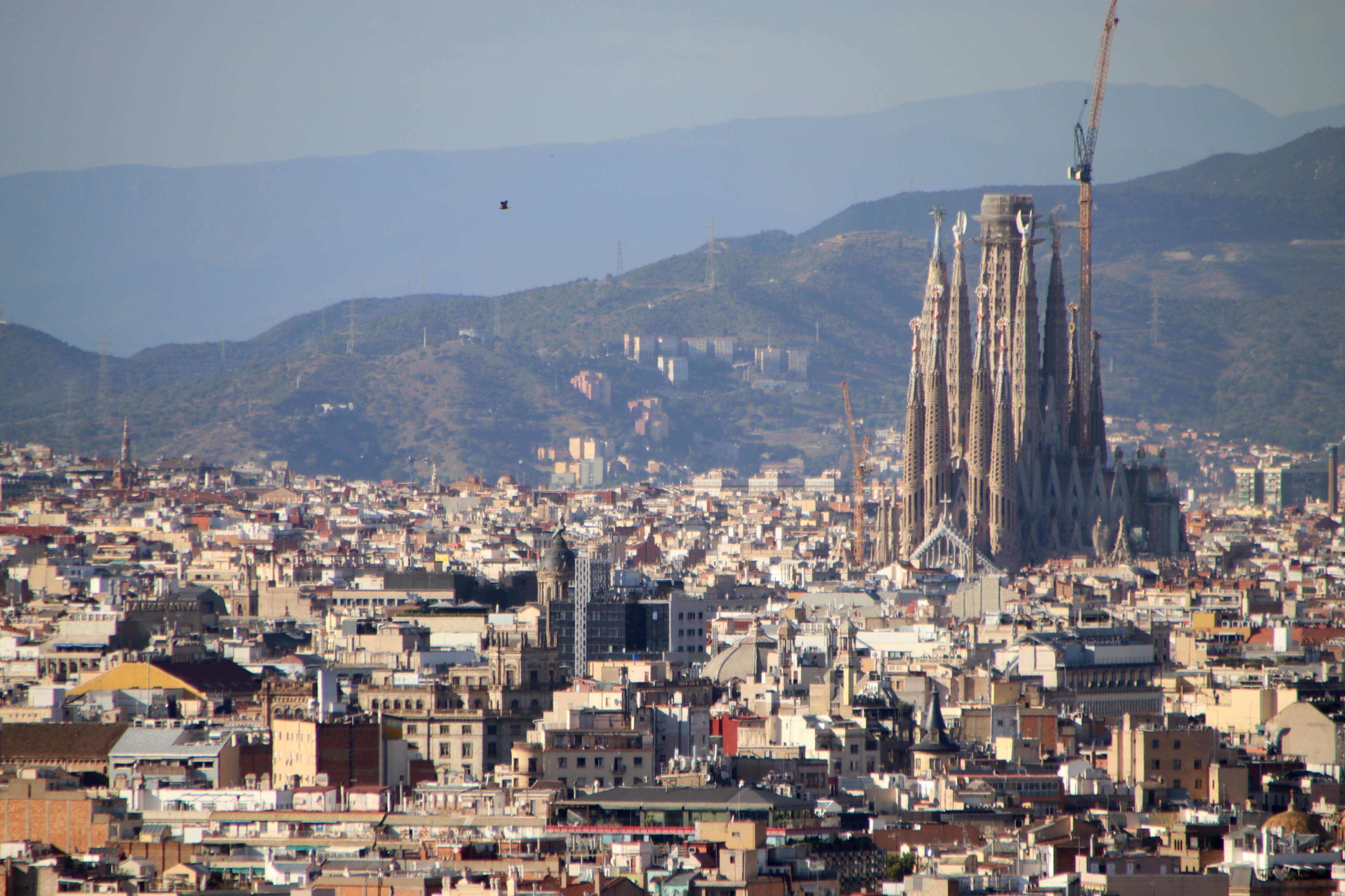 Alerta de sanitaris i científics per la mala qualitat de l'aire a Barcelona: "Creix el risc de malalties"