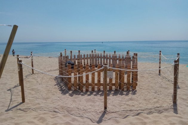 niu tortuga Mataró. Ajuntament de Mataró