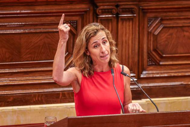 Laia Estrada CUP ple investidura illa Laia Estrada CUP ple investidura illa