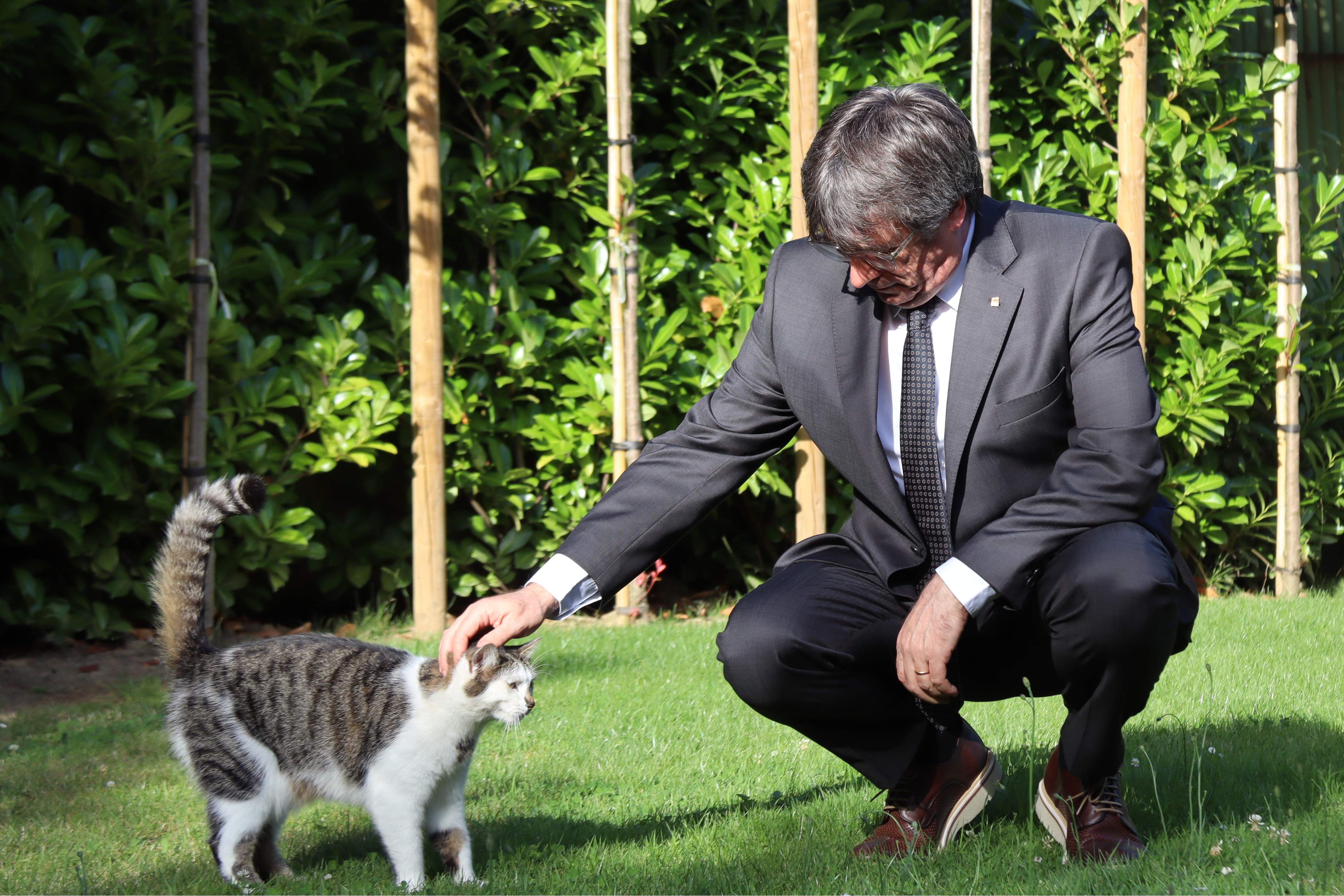 Las canciones que recomienda Carles Puigdemont para esta Navidad 2024 Las canciones que recomienda Carles Puigdemont para esta Navidad 2024