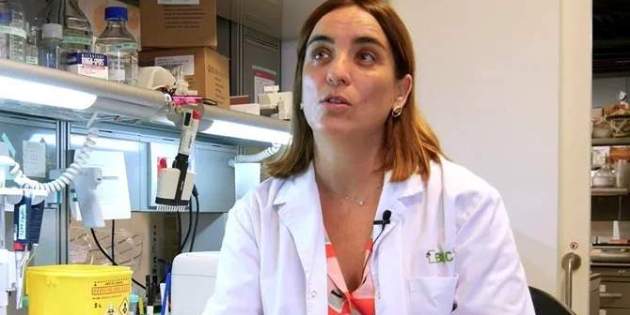Nuria Montserrat Pulido nueva consejera|consellera d Universidades e Investigación|Búsqueda Nuria Montserrat Pulido nueva consejera|consellera d Universidades e Investigación|Búsqueda