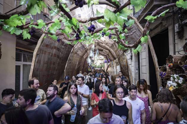 Festes de Gràcia 2024 / Foto: Carlos Baglietto Festes de Gràcia 2024 / Foto: Carlos Baglietto