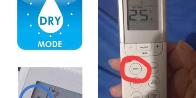 449377347 986255116837127 5598511748436157344 n 449377347 986255116837127 5598511748436157344 n