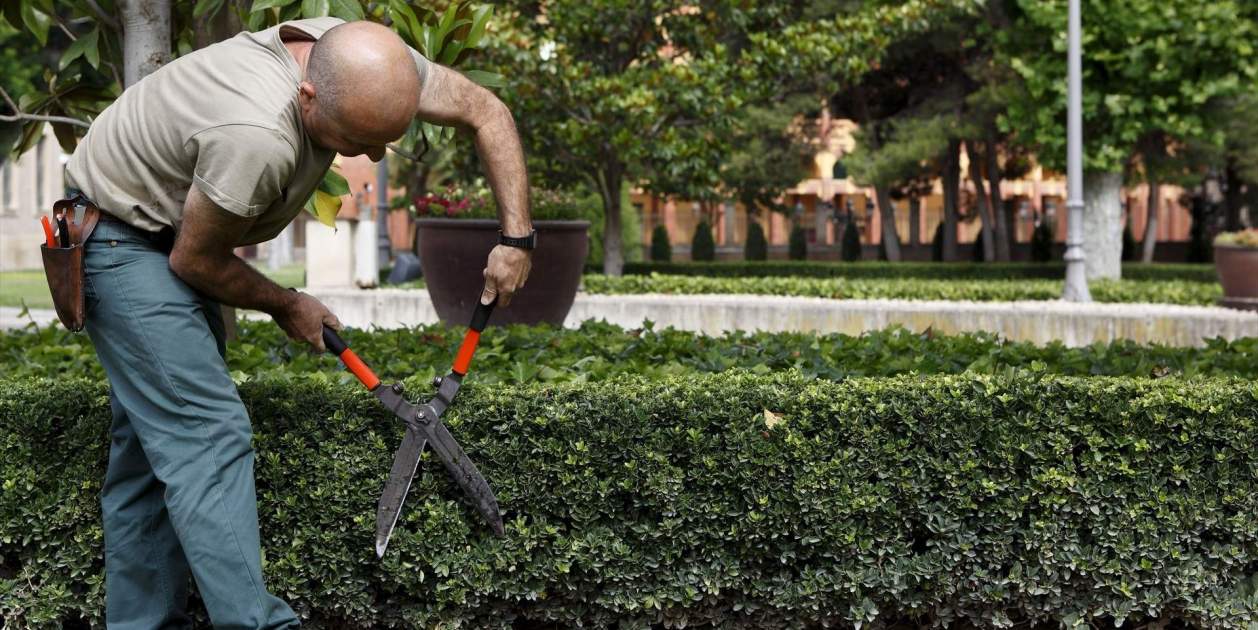 Un empleado de una empresa especializada en servicios de jardinería, arreglando la zona verda de un parque. DGA / Europa Press