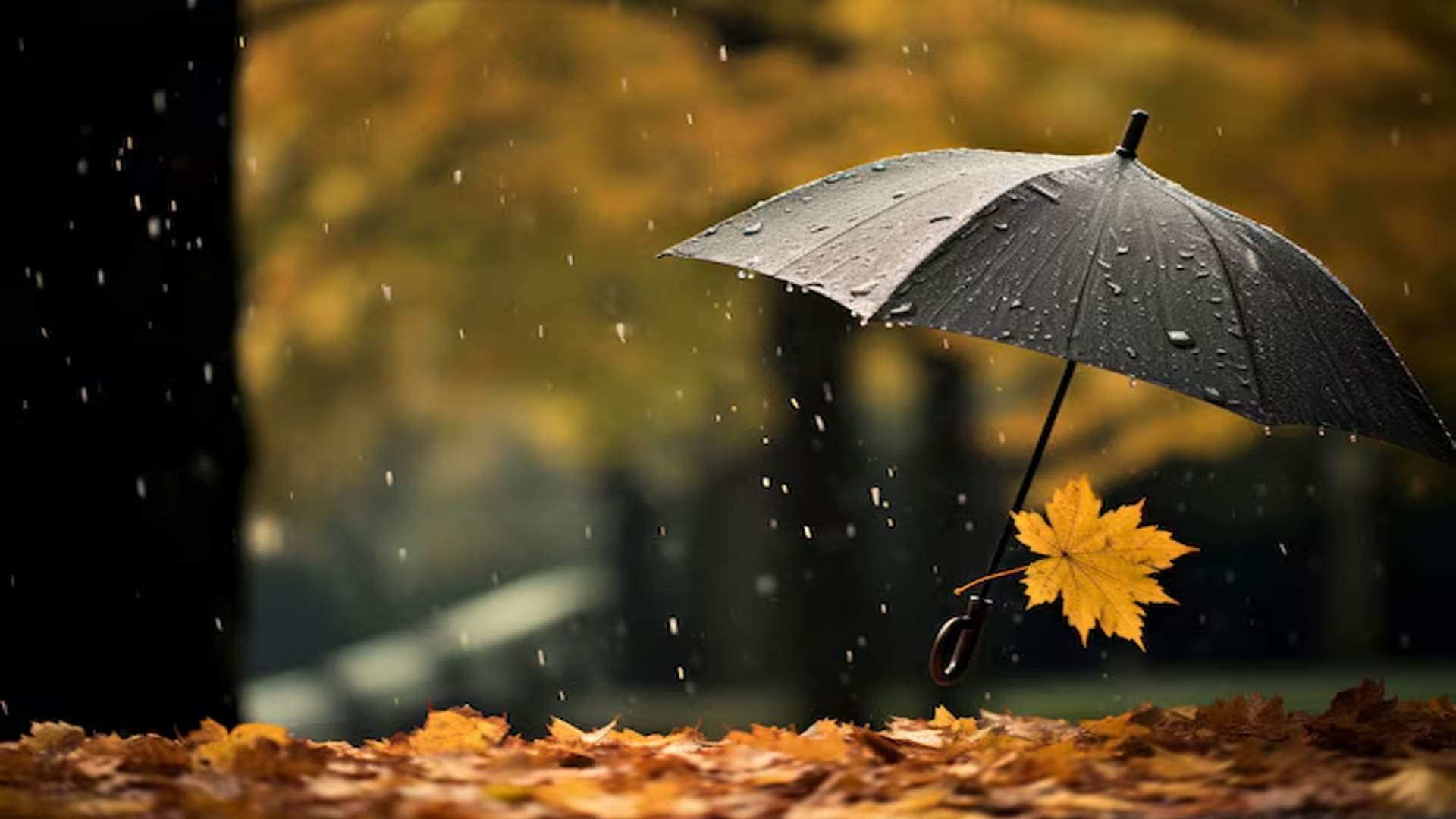 Un septiembre como los de antes traerá lluvias, aguaceros y refrescadas de temperatura