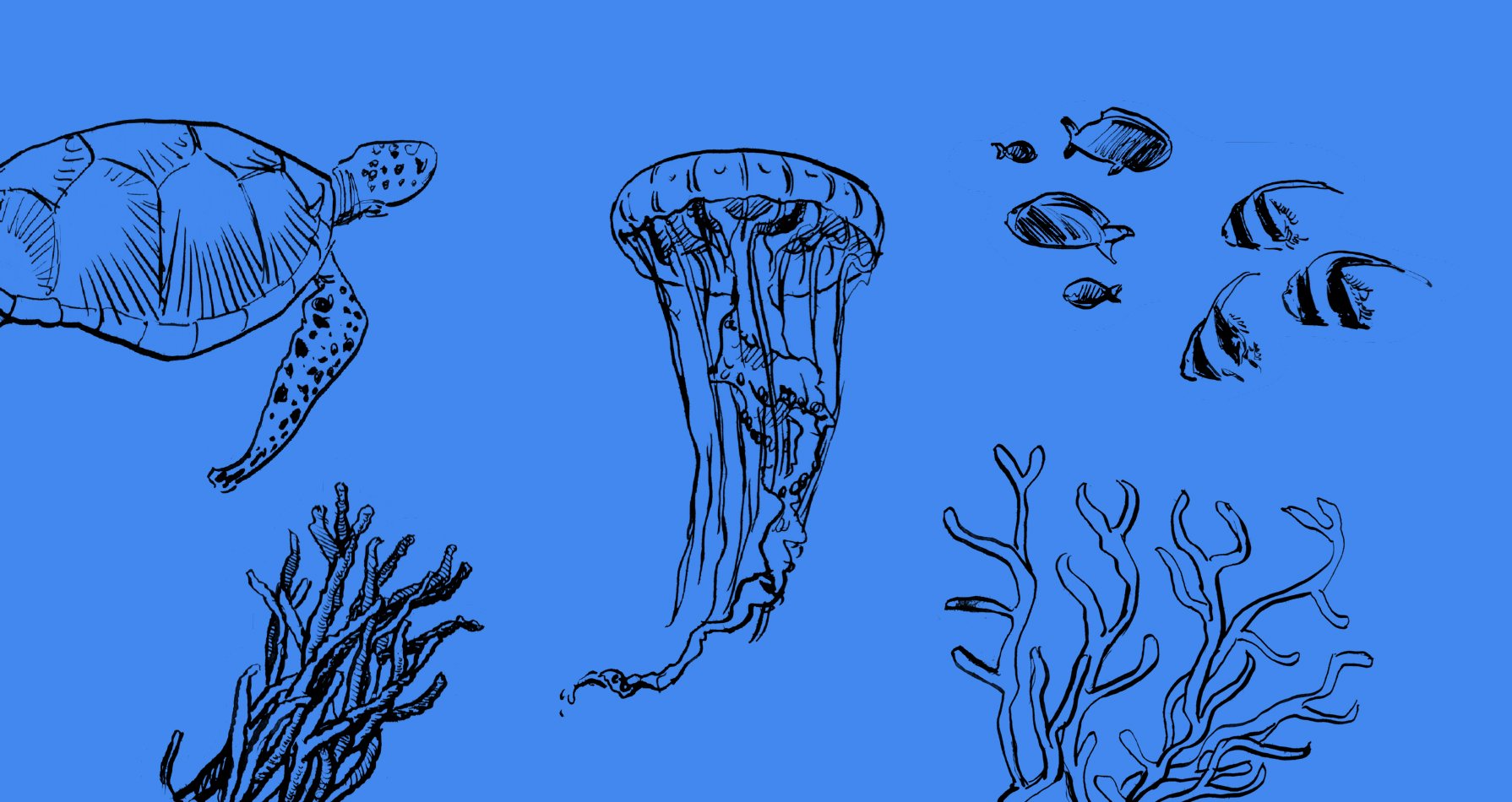 Com es poden reduir les emissions al mar?