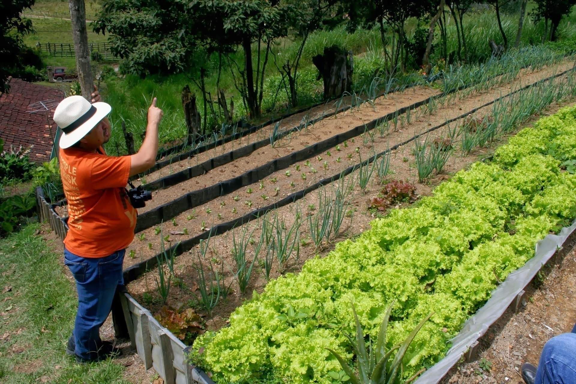 Francisco, agricultor de 82 años: “Trabajo desde los doce años y todavía no lo dejo”