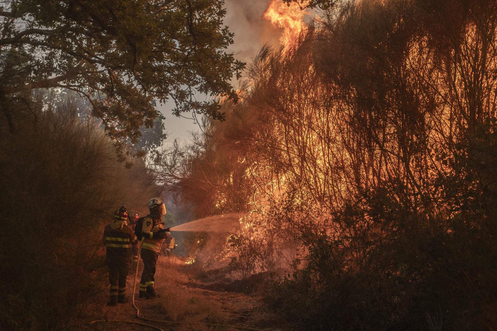 Sant Cristovo de Cea (Ourense) Sant Cristovo de Cea (Ourense)
