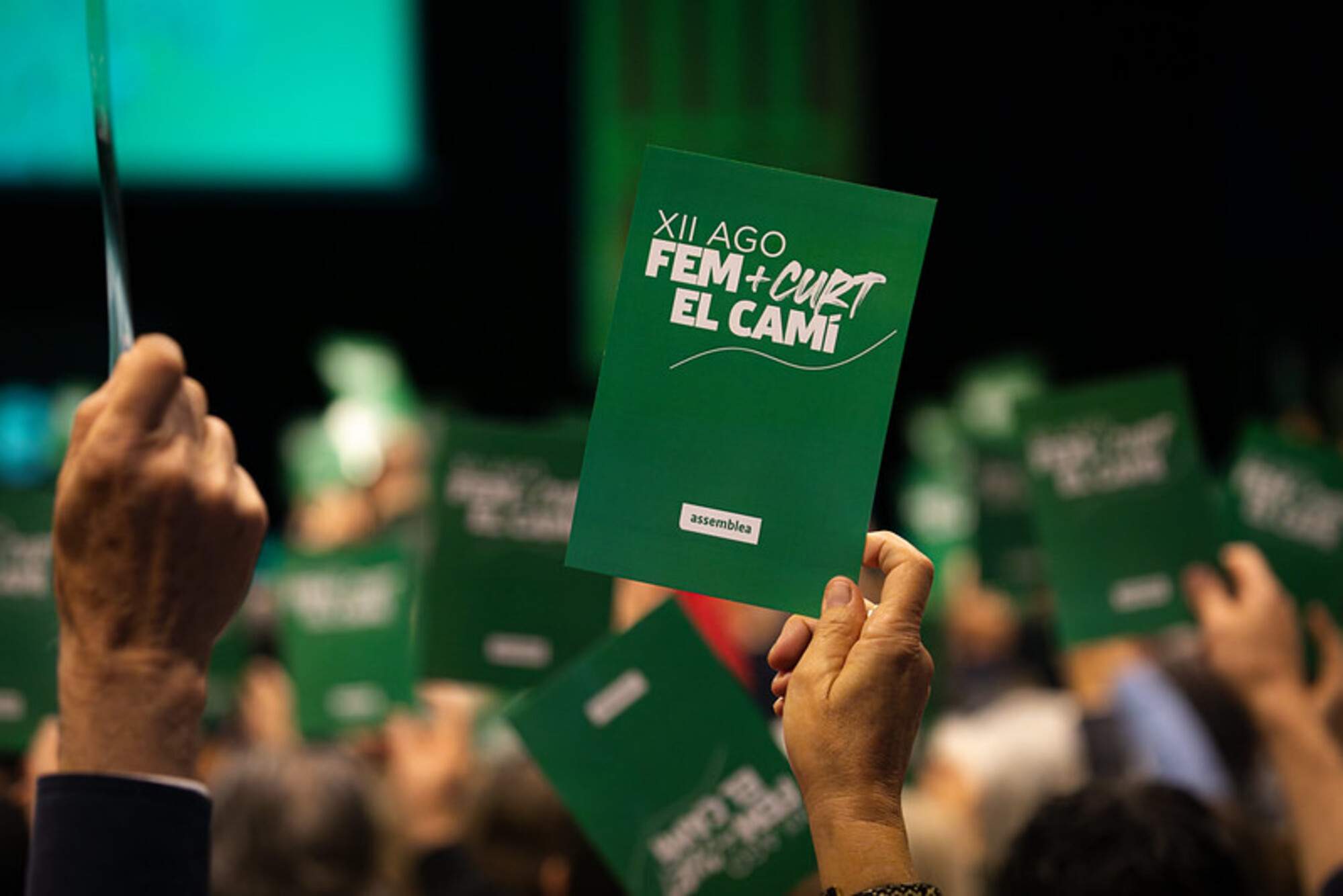 L'ANC convocarà una assemblea general extraordinària per redactar un nou full de ruta