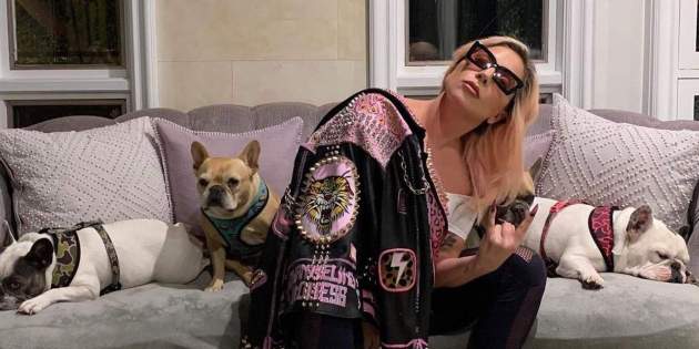Lady Gaga y sus perros Lady Gaga y sus perros