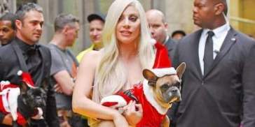 Lady Gaga y sus perros Lady Gaga y sus perros