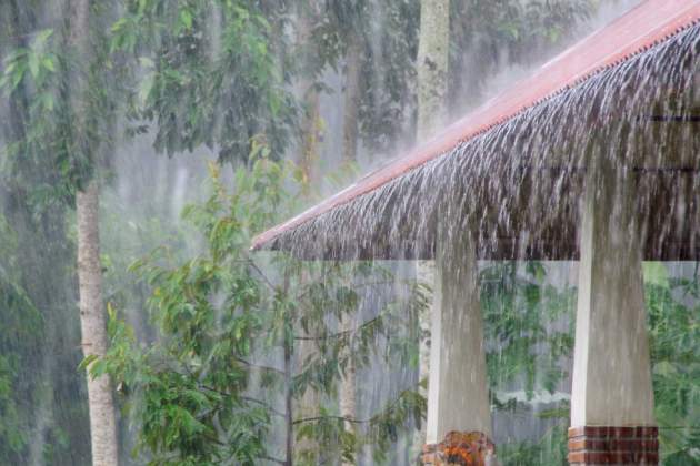 Olor a lluvia Olor a lluvia