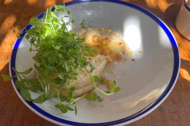 Hummus – La Zorra – Rosa Molinero Trias Hummus – La Zorra – Rosa Molinero Trias