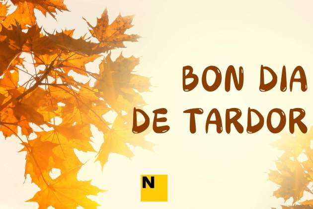 bona tardor 8 bona tardor 8