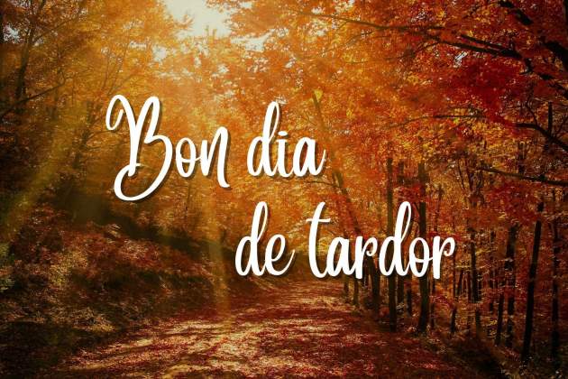 bona tardor 3 bona tardor 3