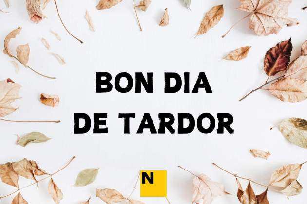 bona tardor 4 bona tardor 4