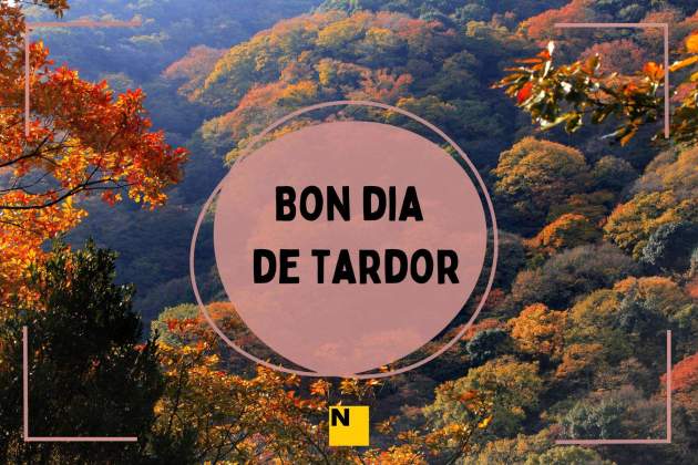 bona tardor 5 bona tardor 5