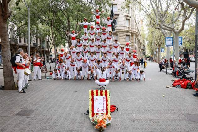 Diada 11S 2024 Ofrenda Floral a Rafael Casanova Falcons / Foto: Carlos Baglietto Diada 11S 2024 Ofrenda Floral a Rafael Casanova Falcons / Foto: Carlos Baglietto